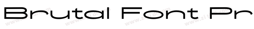 Brutal Font Pro字体转换